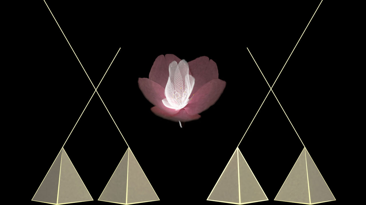 Grey tetrahedrons with yellow outlines and pink blossom on black background.